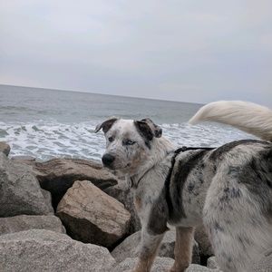 Meet your Posher, Megan